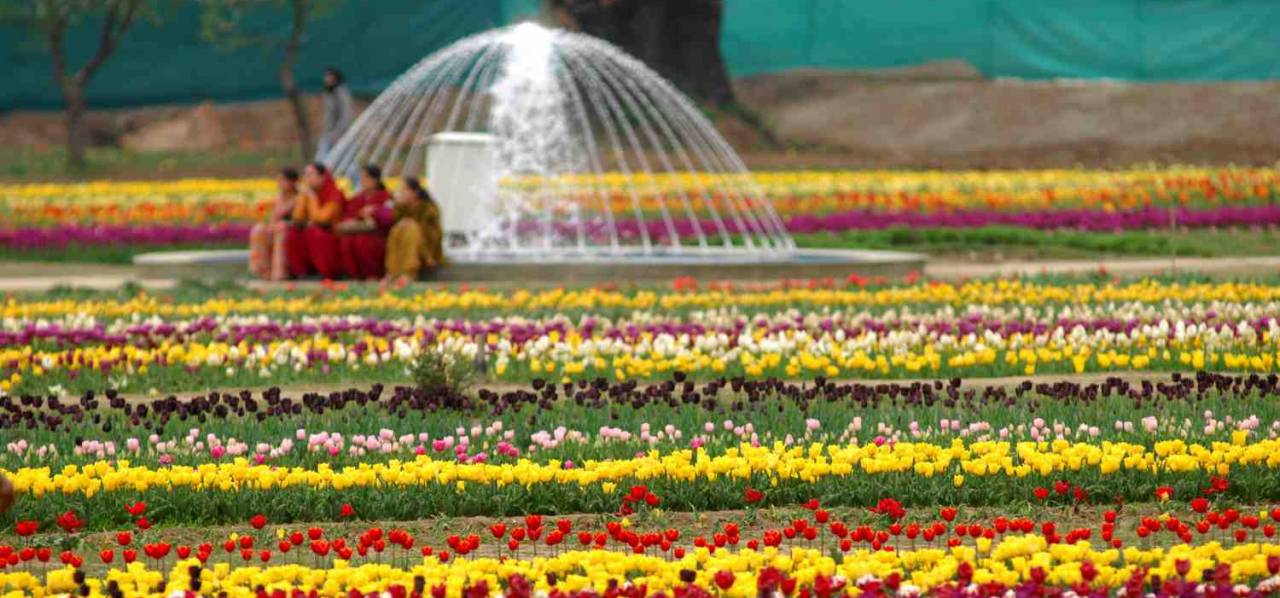 Festival Of Flowers Udyanotsav Begins At Rashtrapati Bhavan