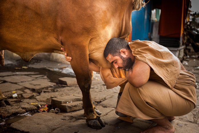 Varanasi: The Beating Heart Of Hinduism