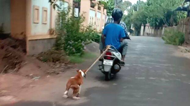 Another shocking news of cruelty towards animals from Kerala: Police arrest  man for dragging pet dog tied on scooter along road in Malappuram - Indus  Scrolls