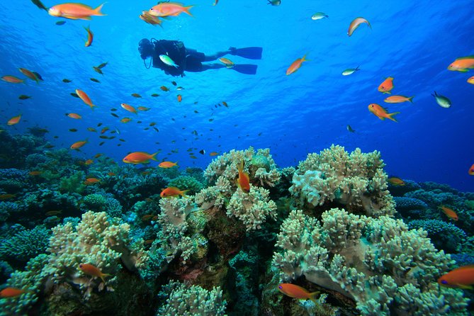 Australia to establish new marine parks in Indian ocean