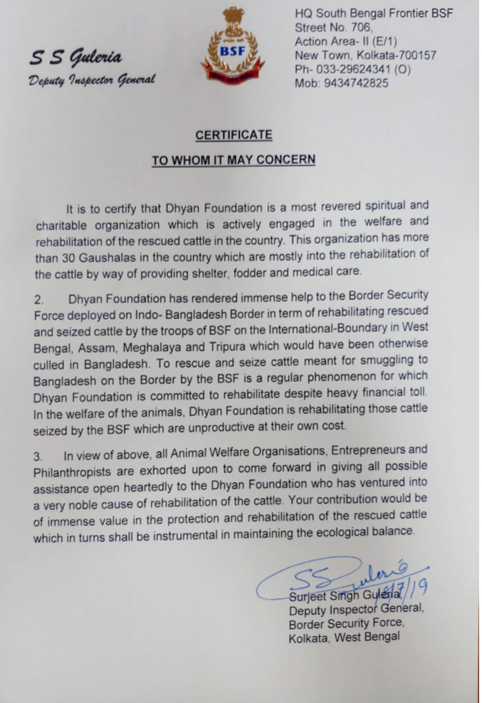 Yoga, The Dhyan Foundation Way - Indus Scrolls