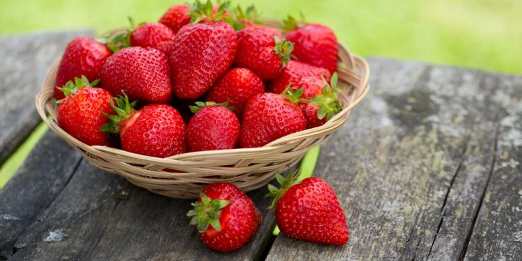 Close up of basket with strawberries on a garden wooden table.